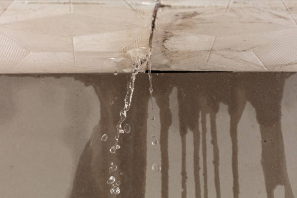 Professional Sewage Cleanup technician working in Woodcliff Lake, NJ